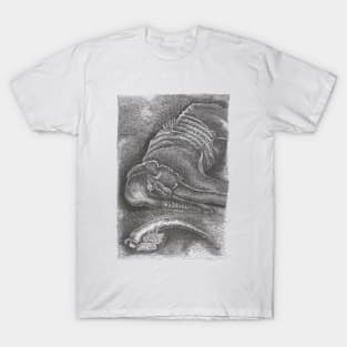 Dead Elephant T-Shirt